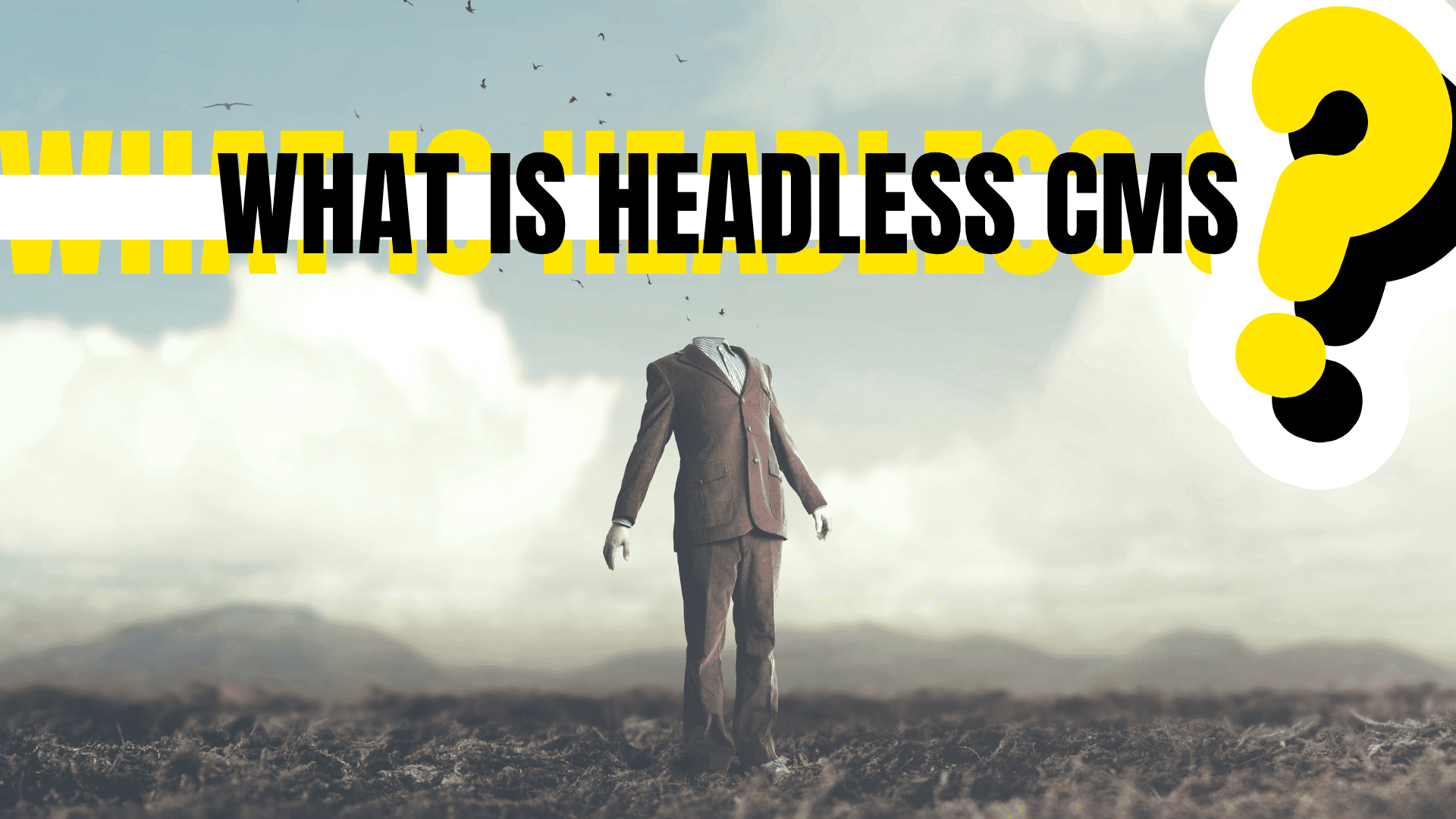 Why Headless CMS is Changing the Future of Web Development